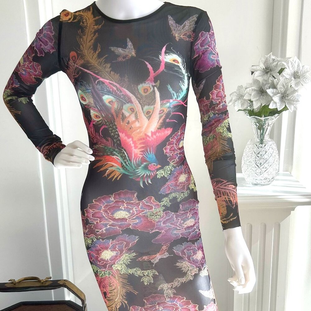 Sheer Mesh Dress